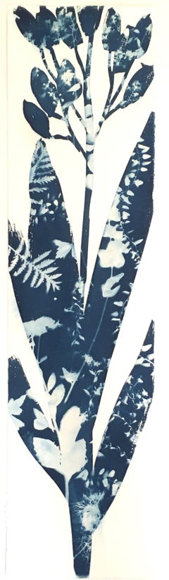 Yucca, Botanical,  Floral, Cyanotype, Blue, Work on Paper, Flowers