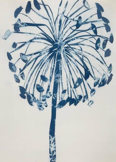 Allium Cyanotype