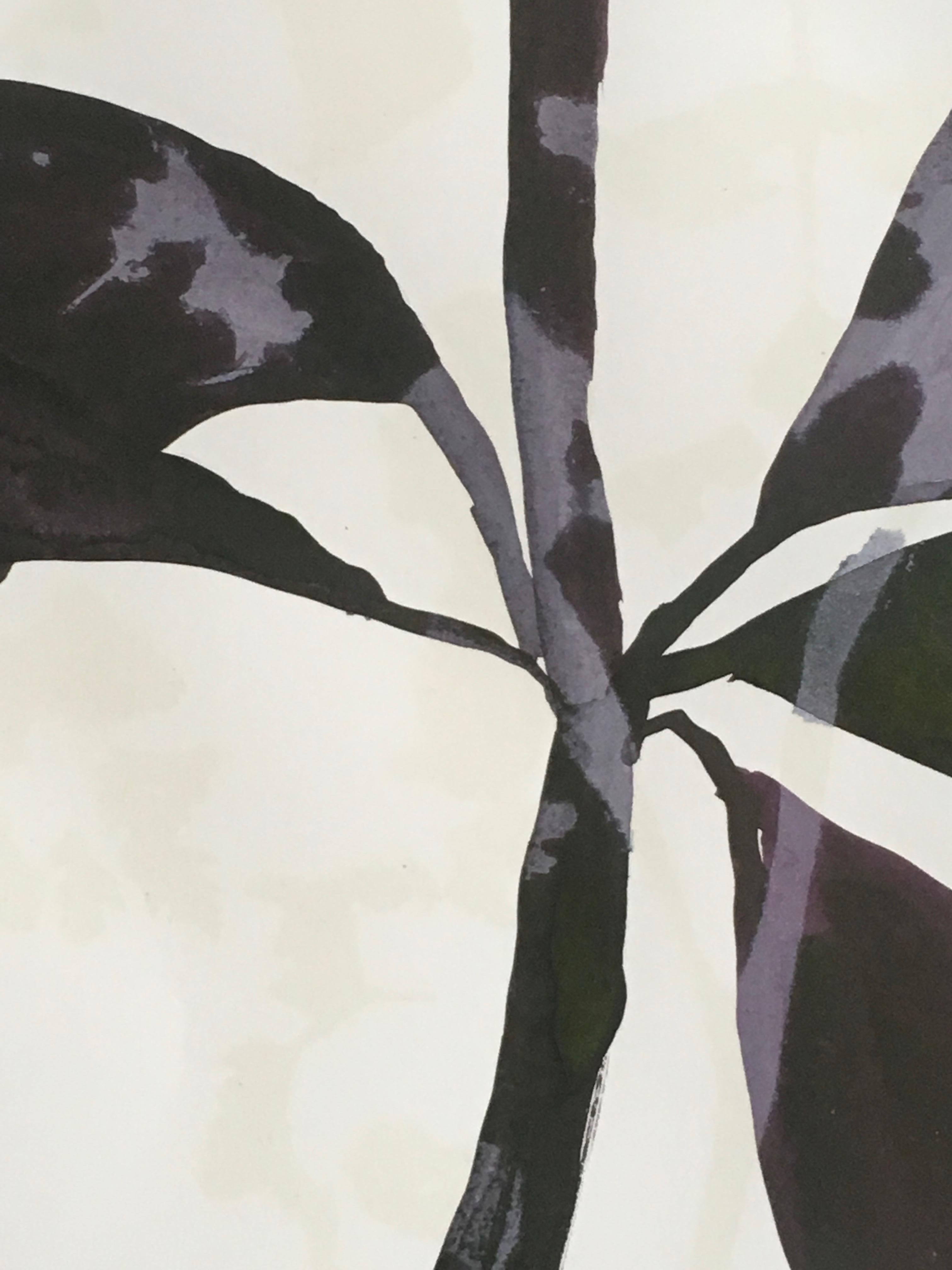 Atropurpureum ist ein botanisches Mischtechnikwerk auf Papier von Cynthia MacCollum.  Dieses Original-Kunstwerk ist 30x22 auf Archivierungspapier.  Es ist auf 35 x 28 x 1 gerahmt.  Macollum verwendet echte Pflanzen und Blumen als Teil ihres