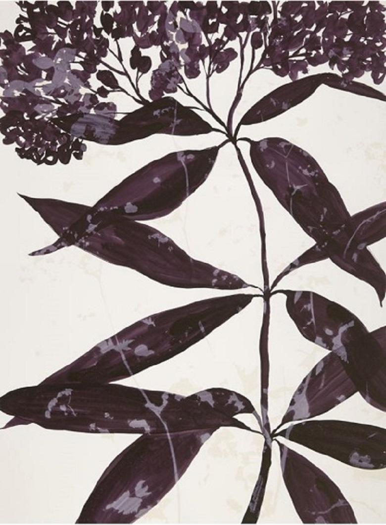 Atropurpureum, Botanik,  Blumen Blumen, Natur, Arbeiten auf Papier, Mixed Media, Lila – Mixed Media Art von Cynthia MacCollum