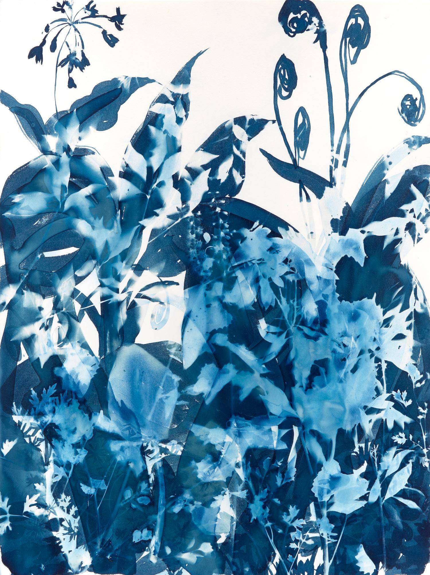 Cynthia MacCollum, Ephemeral 2, 2020, peinture de cyanotype humide, naturaliste