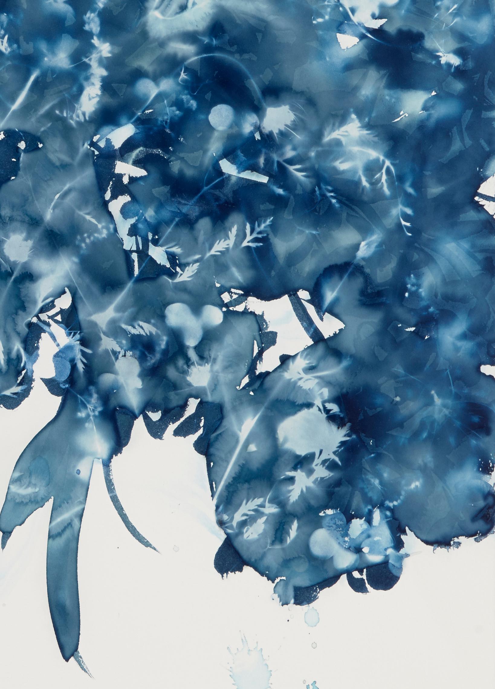 Daucus Carota, Botanical, Flowers, work on paper, Cyanotype, Blue, Original Art - Print by Cynthia MacCollum