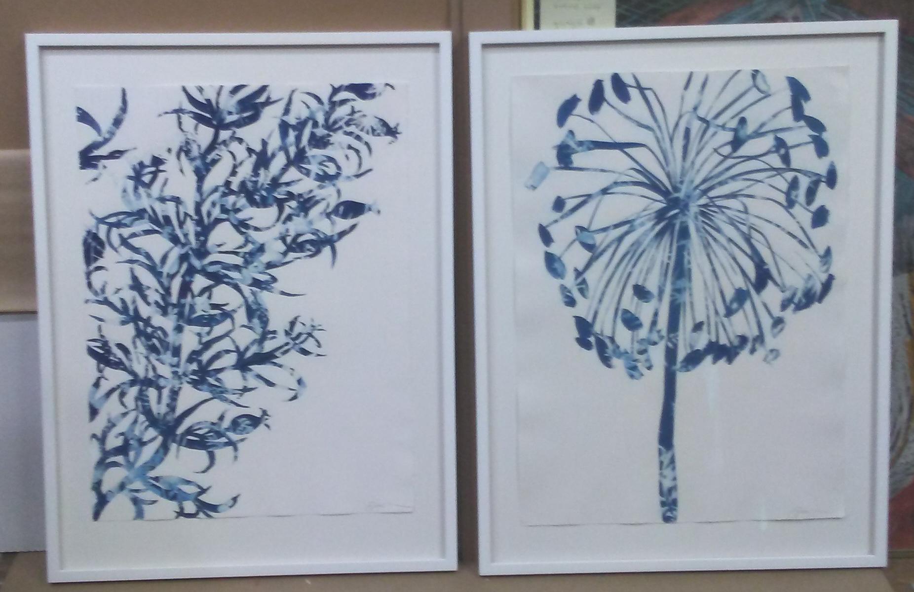 Daucus Carota, Botanical, Flowers, work on paper, Cyanotype, Blue, Original Art - Contemporary Print by Cynthia MacCollum