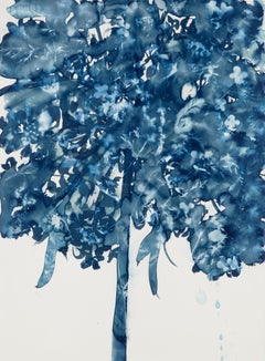 Daucus Carota, Botanisch, Blumen, Arbeiten auf Papier, Zyanotyp, Blau, Originalkunst