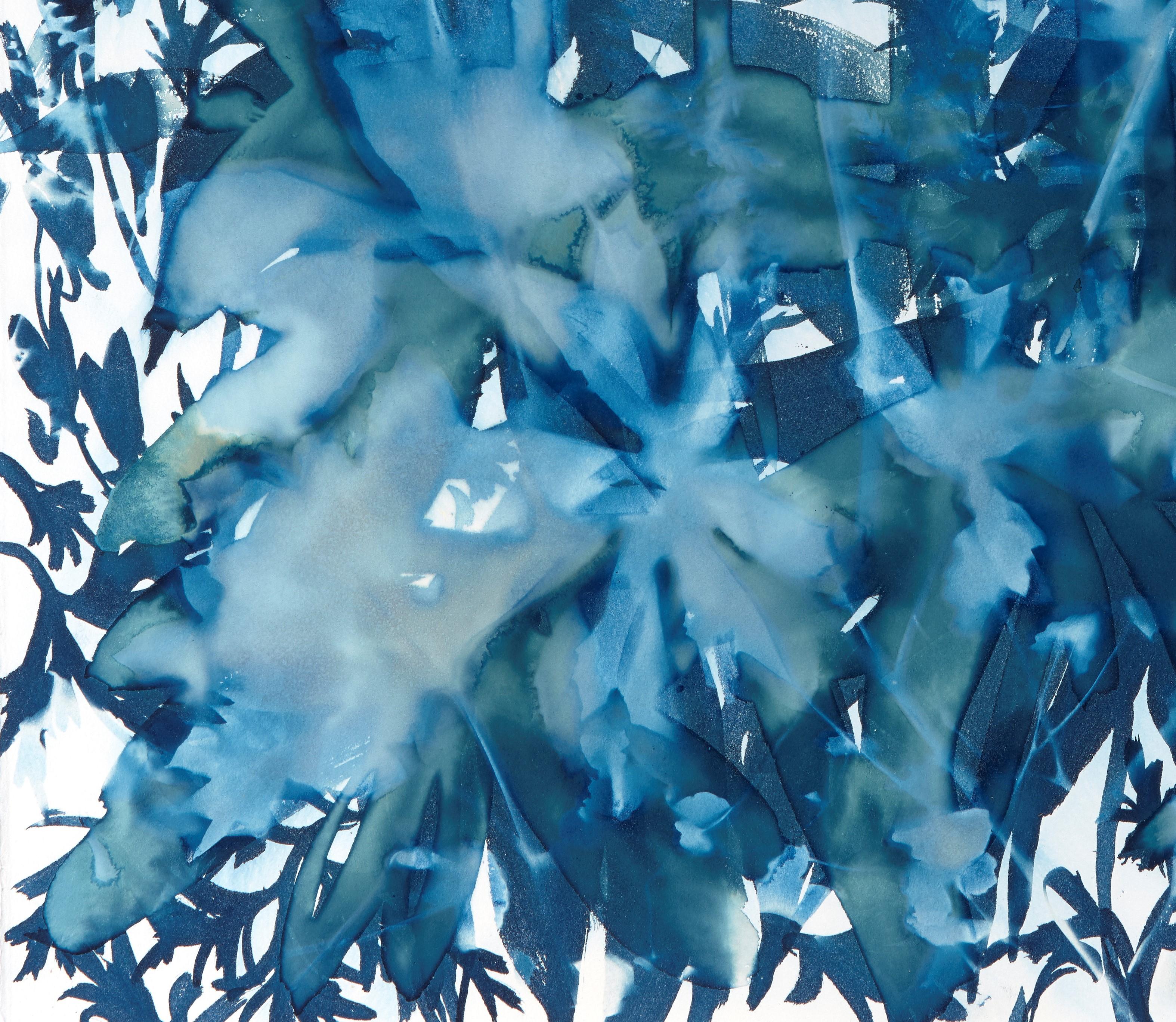 Efímera 1, Botánica,  Floral, Cianotipia, Azul, Obra sobre papel, Flores - Print Contemporáneo de Cynthia MacCollum