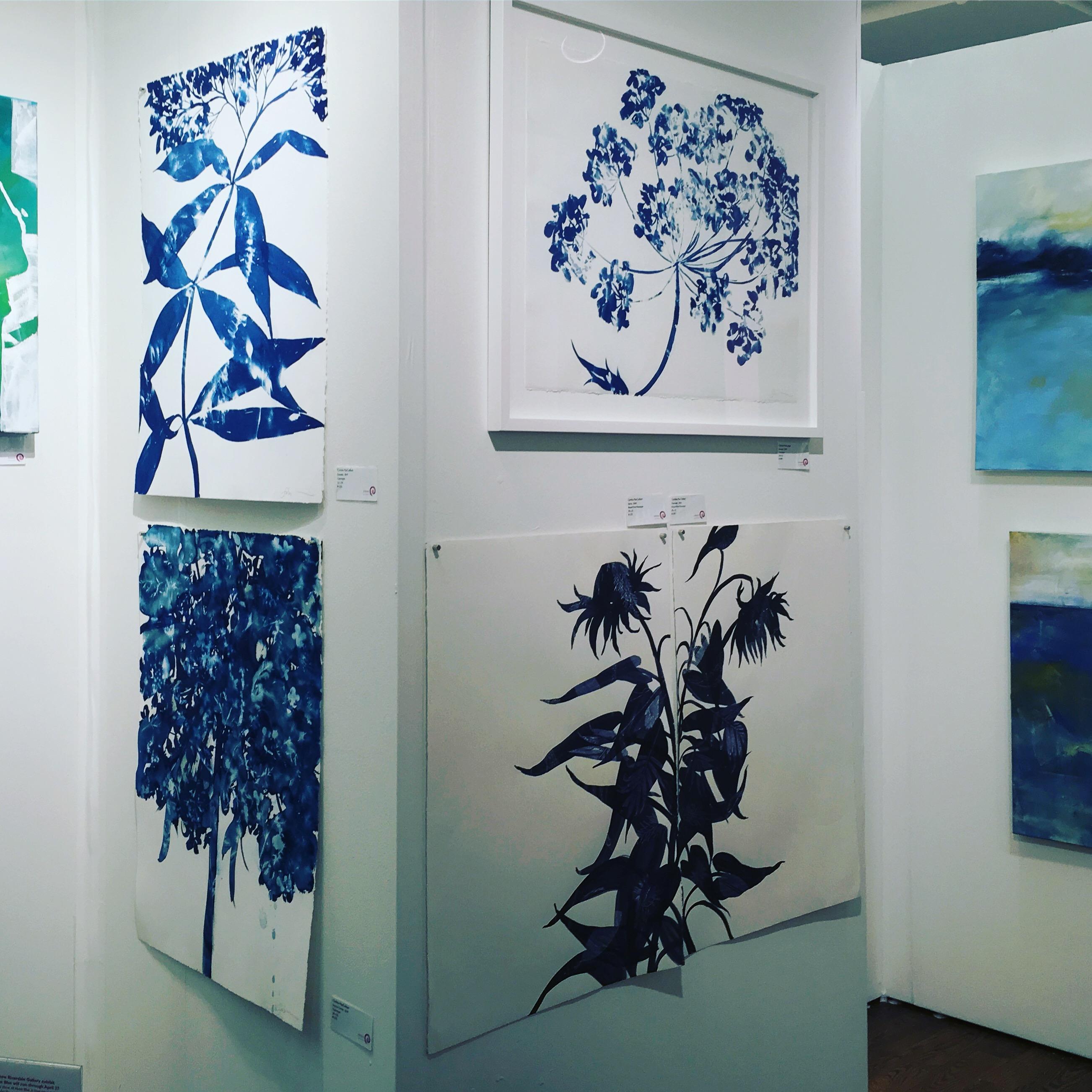 Efímera 1 es una cianotipia húmeda Obra sobre papel de Cynthia MacCollum.  Esta obra de arte original es de 30x22 en papel de archivo.  Actualmente está sin enmarcar.  Macollum utiliza plantas y flores reales como parte de su proceso creativo.  Es