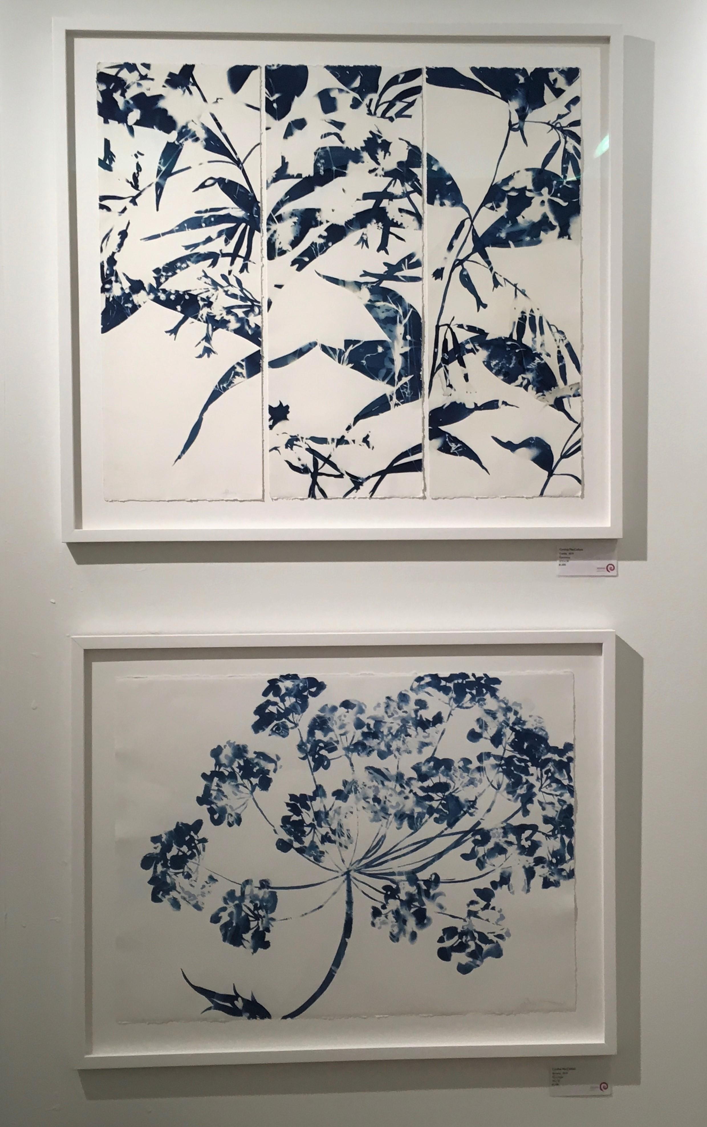 Efímera 1, Botánica,  Floral, Cianotipia, Azul, Obra sobre papel, Flores 1
