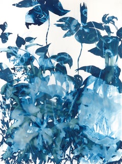 Ephemeral 1, Botanical,  Floral, Cyanotype, Blue, Work on Paper, Flowers