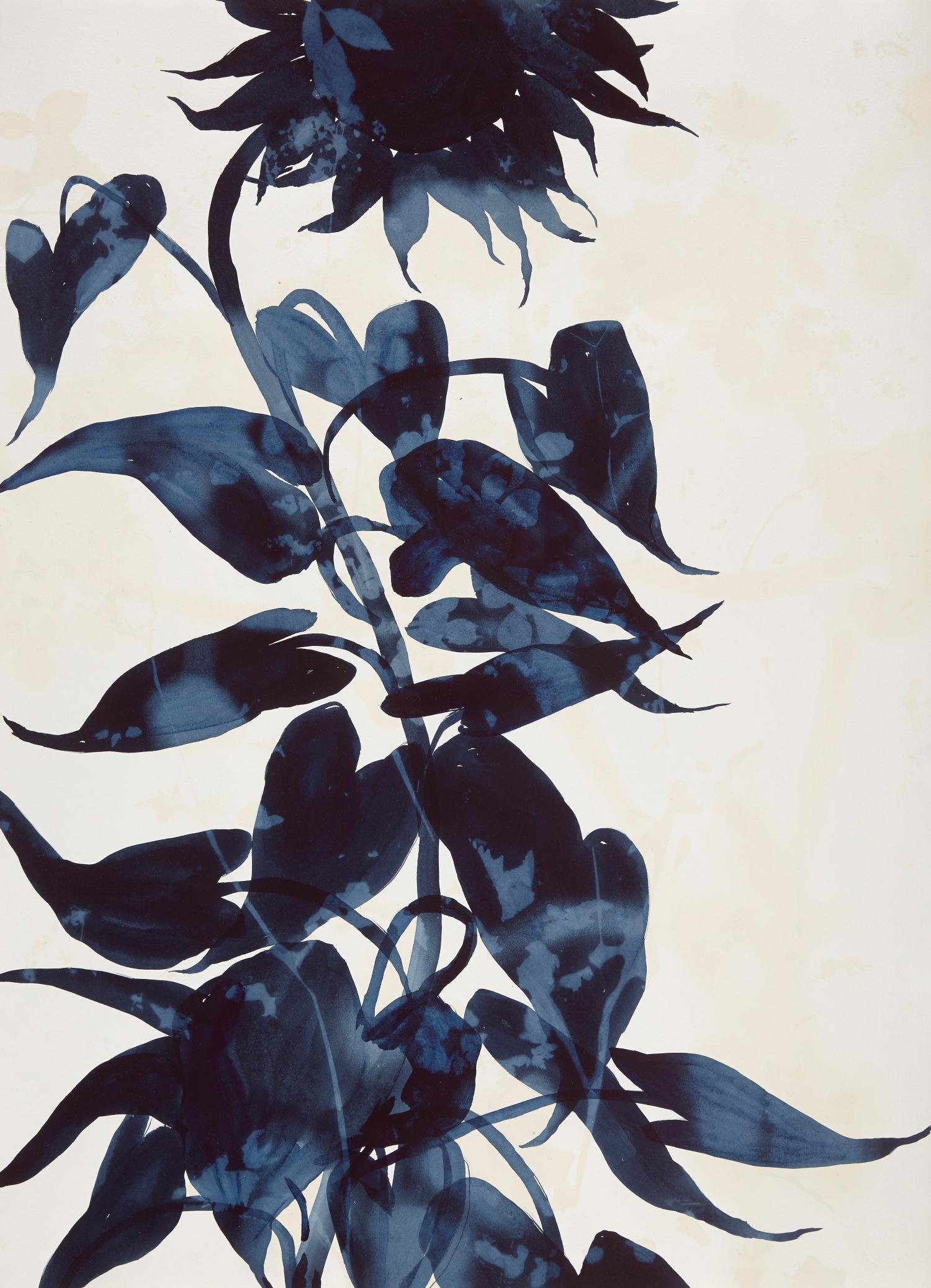 Moulin Rouge, botanisch,  Blumenmalerei, Mischtechnik, Blau, Arbeiten auf Papier, Blumen – Mixed Media Art von Cynthia MacCollum