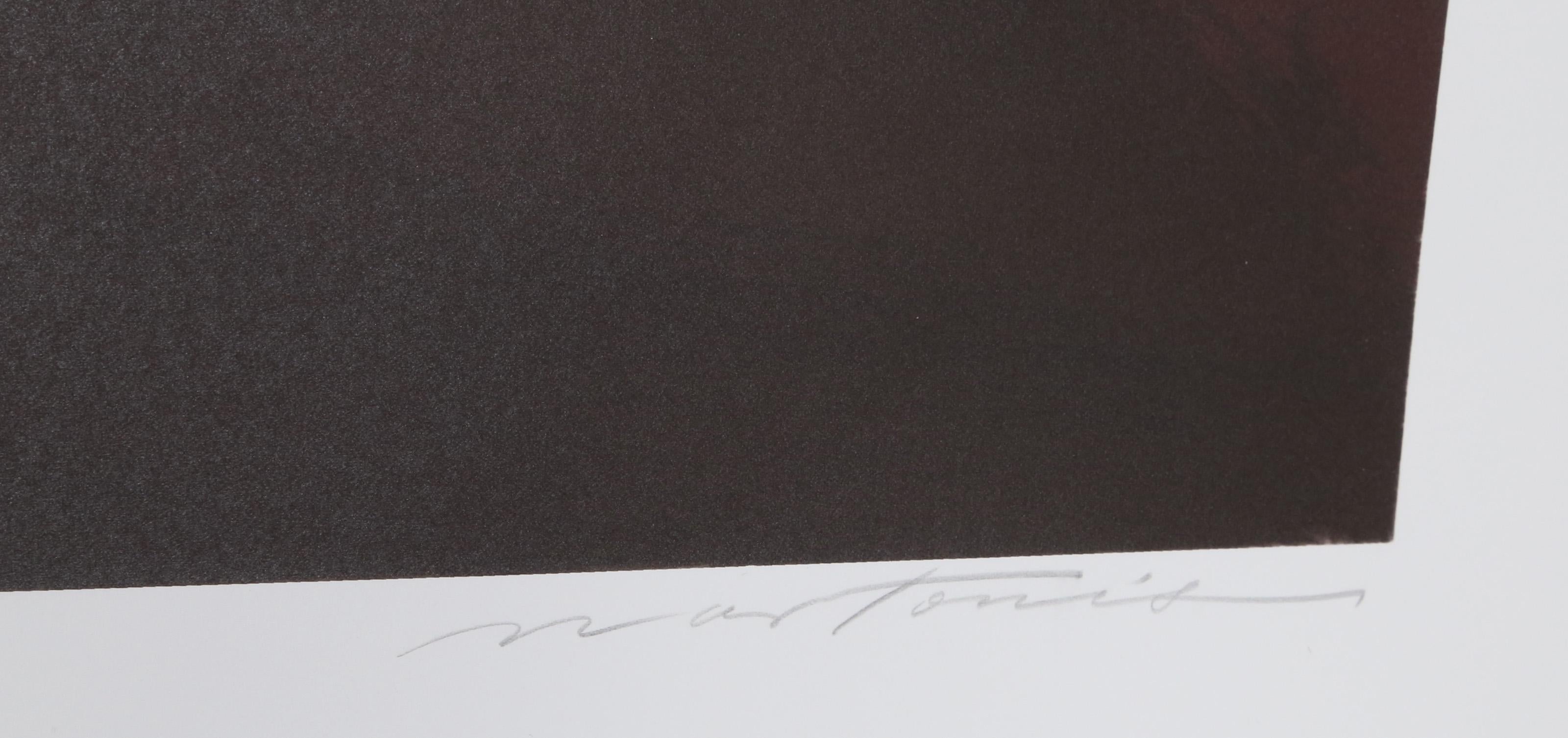Ruderboot, Contemporary Monoprint von Cynthia Nartonis im Angebot 1