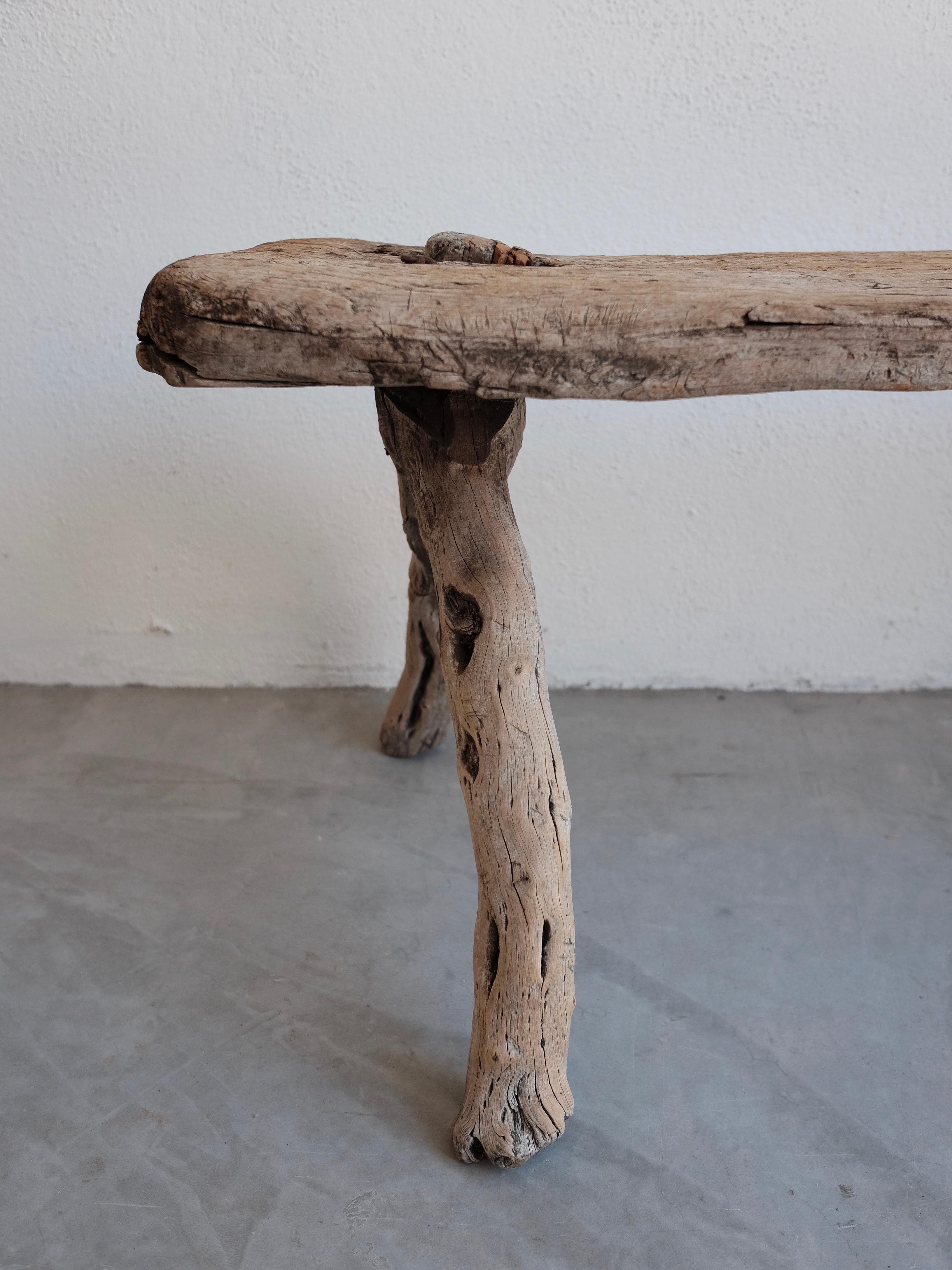 Cypress Bench from Jalisco, Mexico 4
