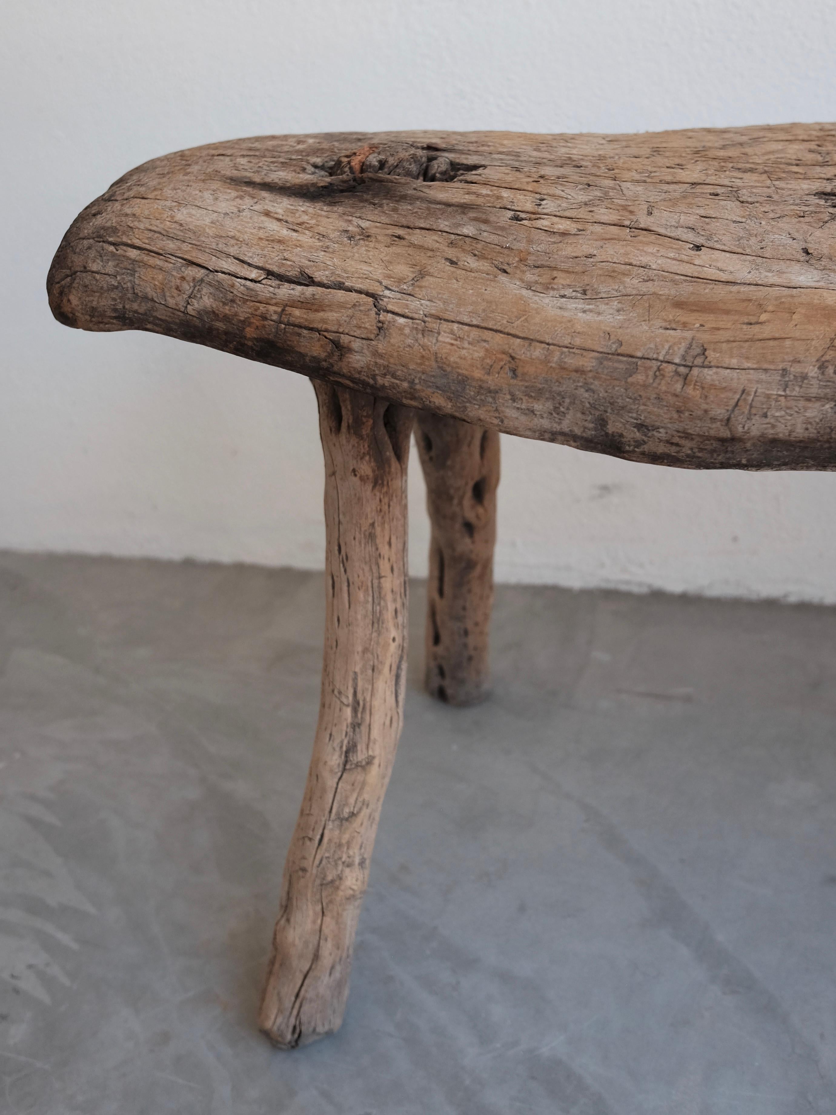 Primitive Cypress Bench from Jalisco, Mexico