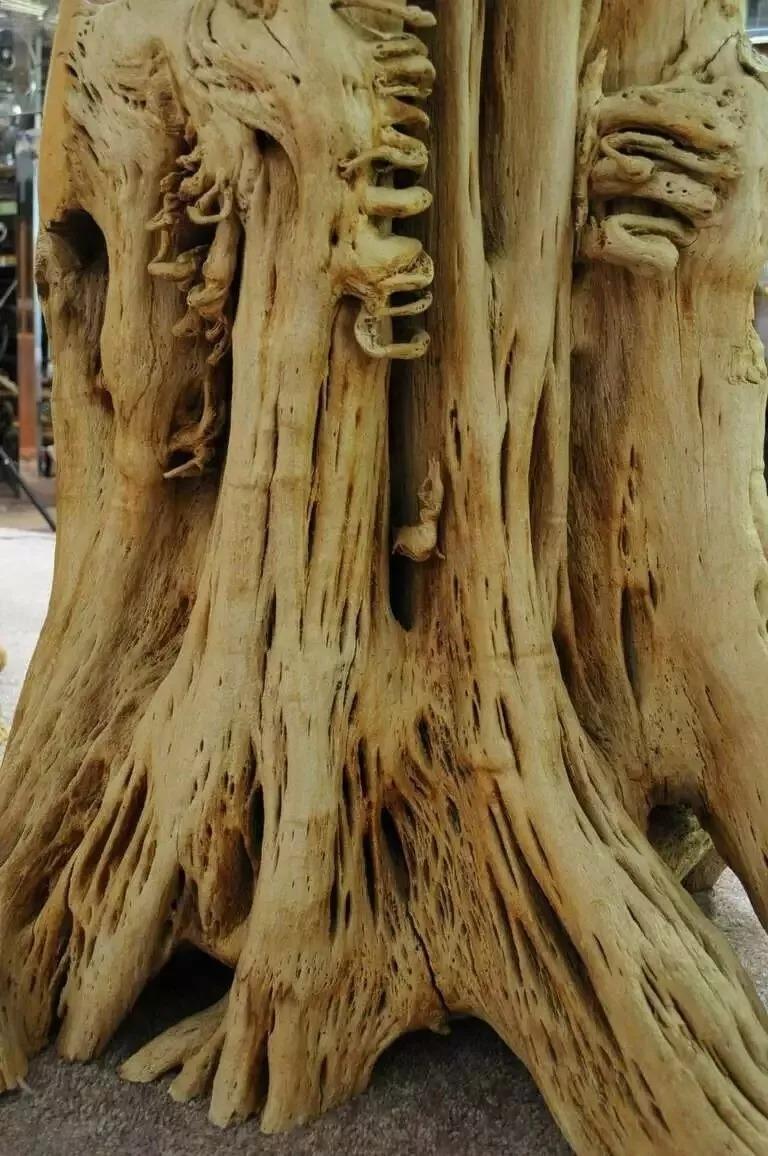Unknown Cypress Tree Root Trunk Driftwood Dining Table Desk Double Pedestal Base - Pair For Sale