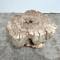 Cypress Wood Stump Side Table