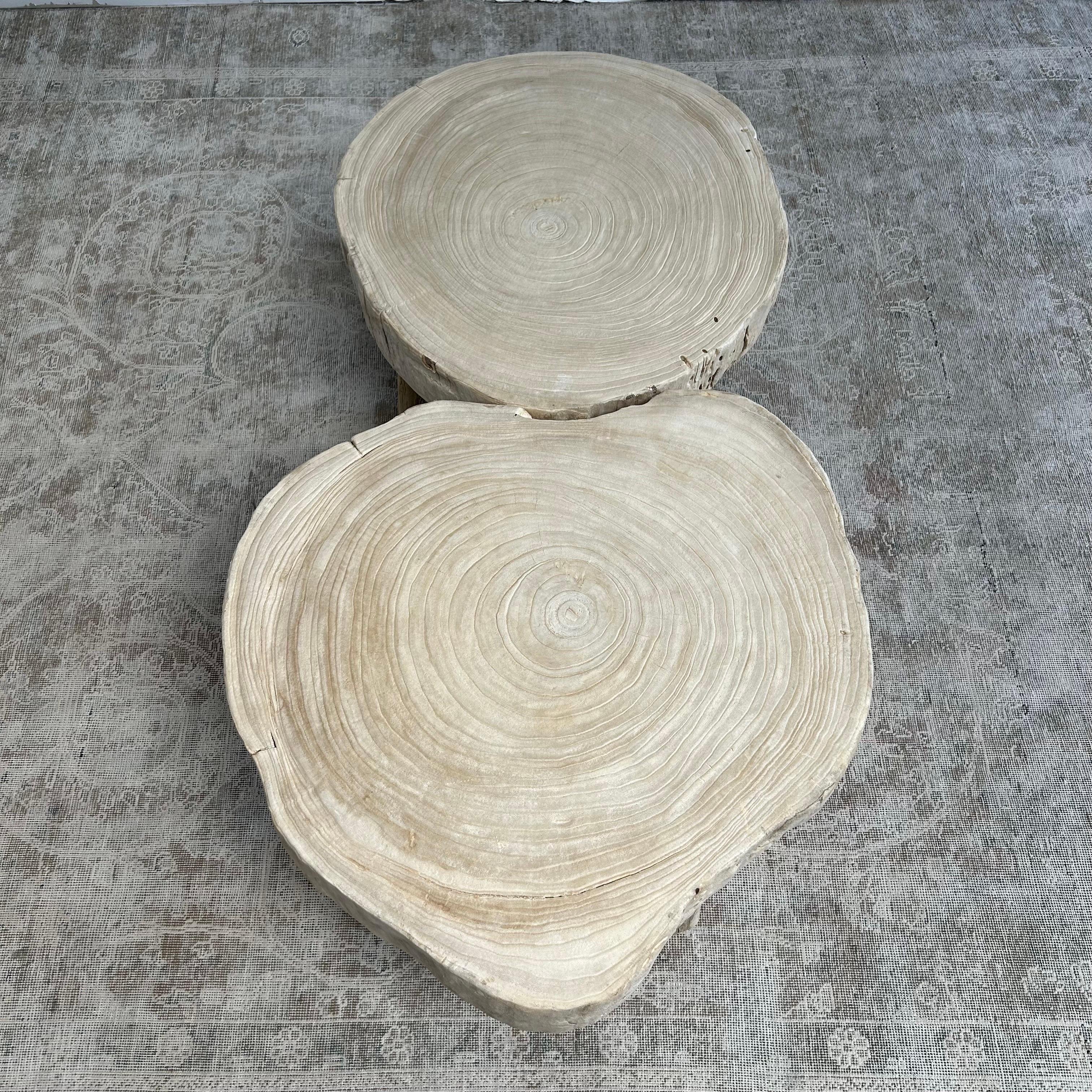 Cypress Wood Stump Slice Coffee Table Set For Sale 4