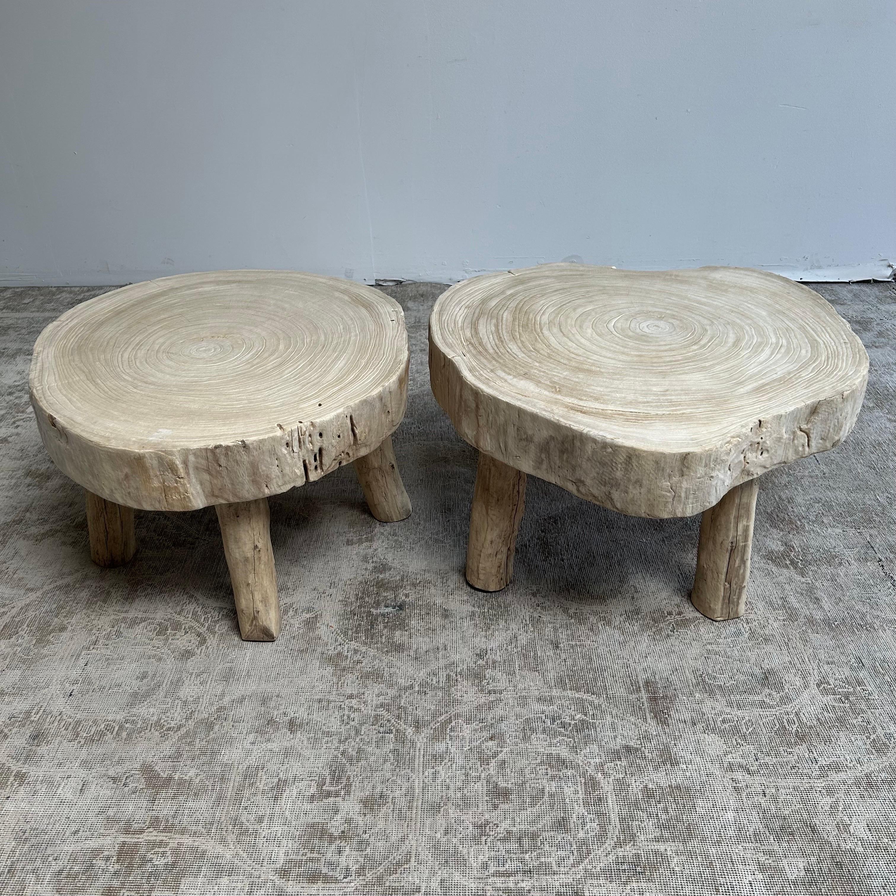 Cypress Wood Stump Slice Coffee Table Set For Sale 5