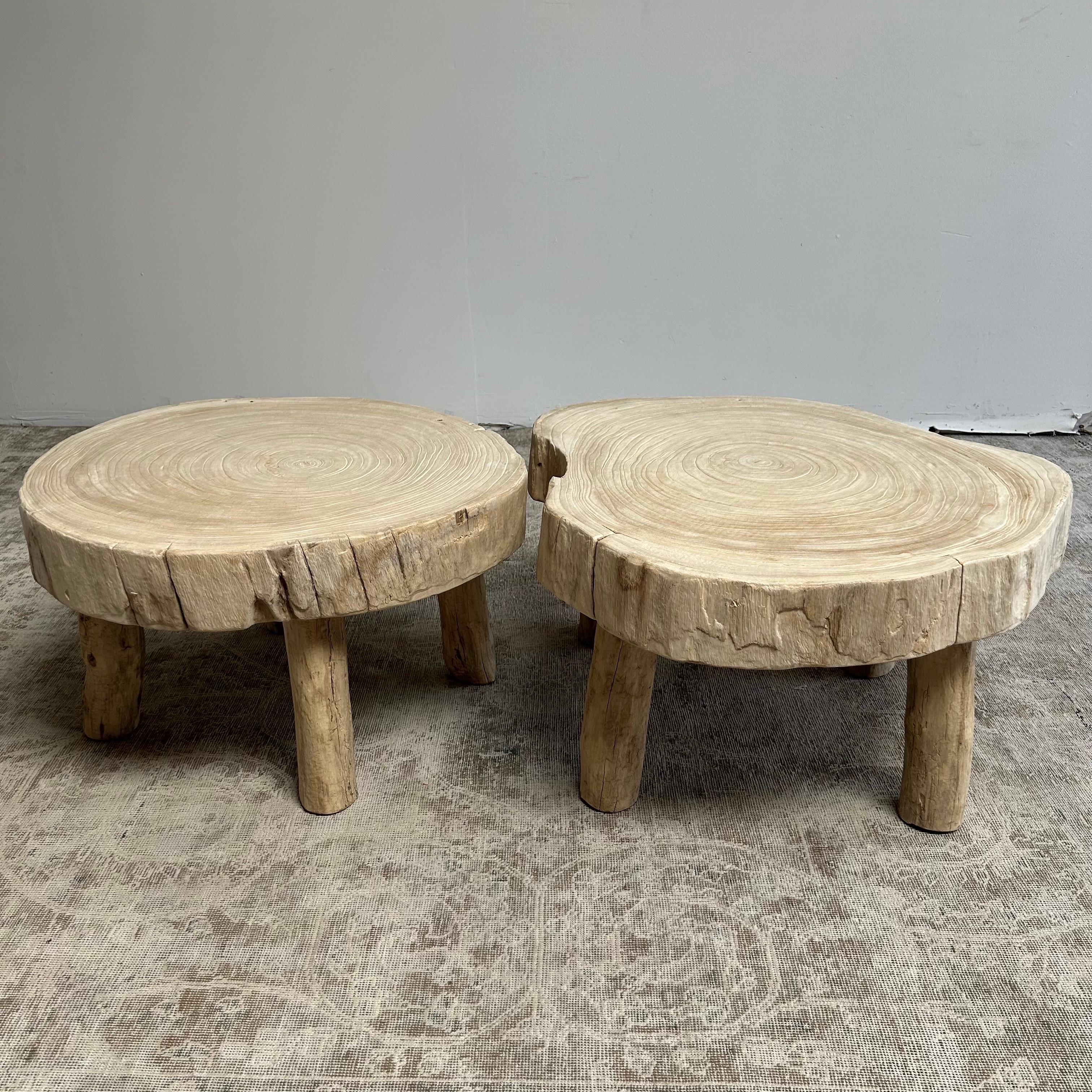 Cypress Wood Stump Slice Coffee Table Set For Sale 10