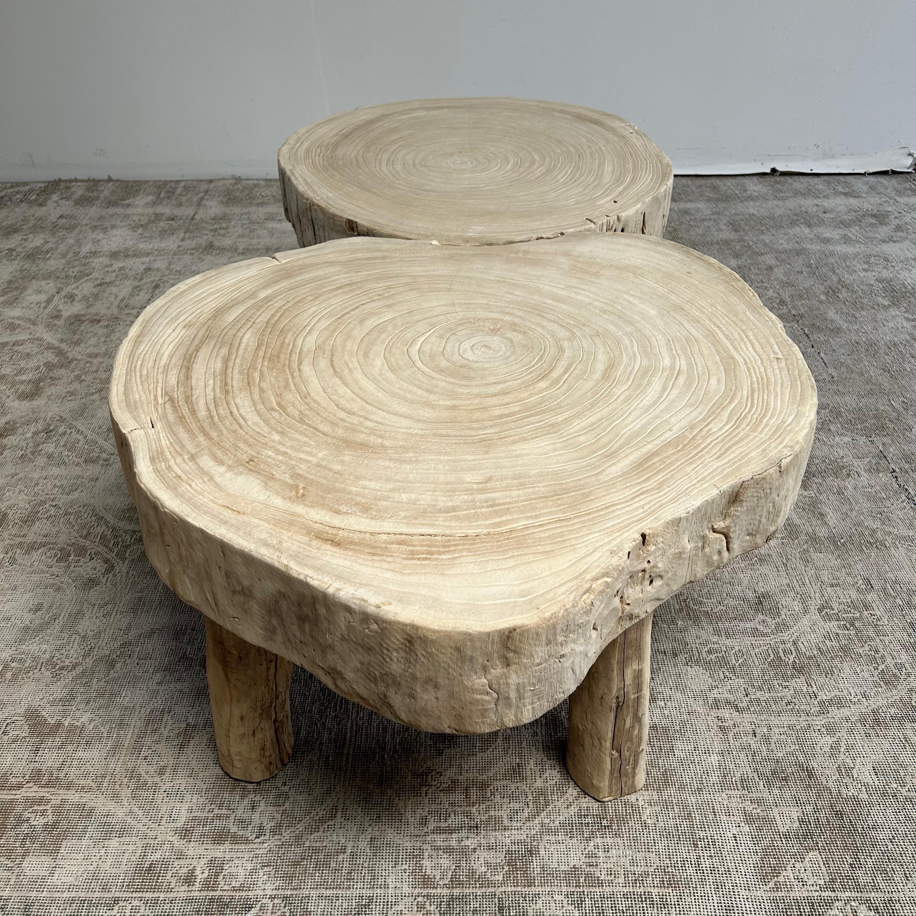 Cypress Wood Stump Slice Coffee Table Set For Sale 1