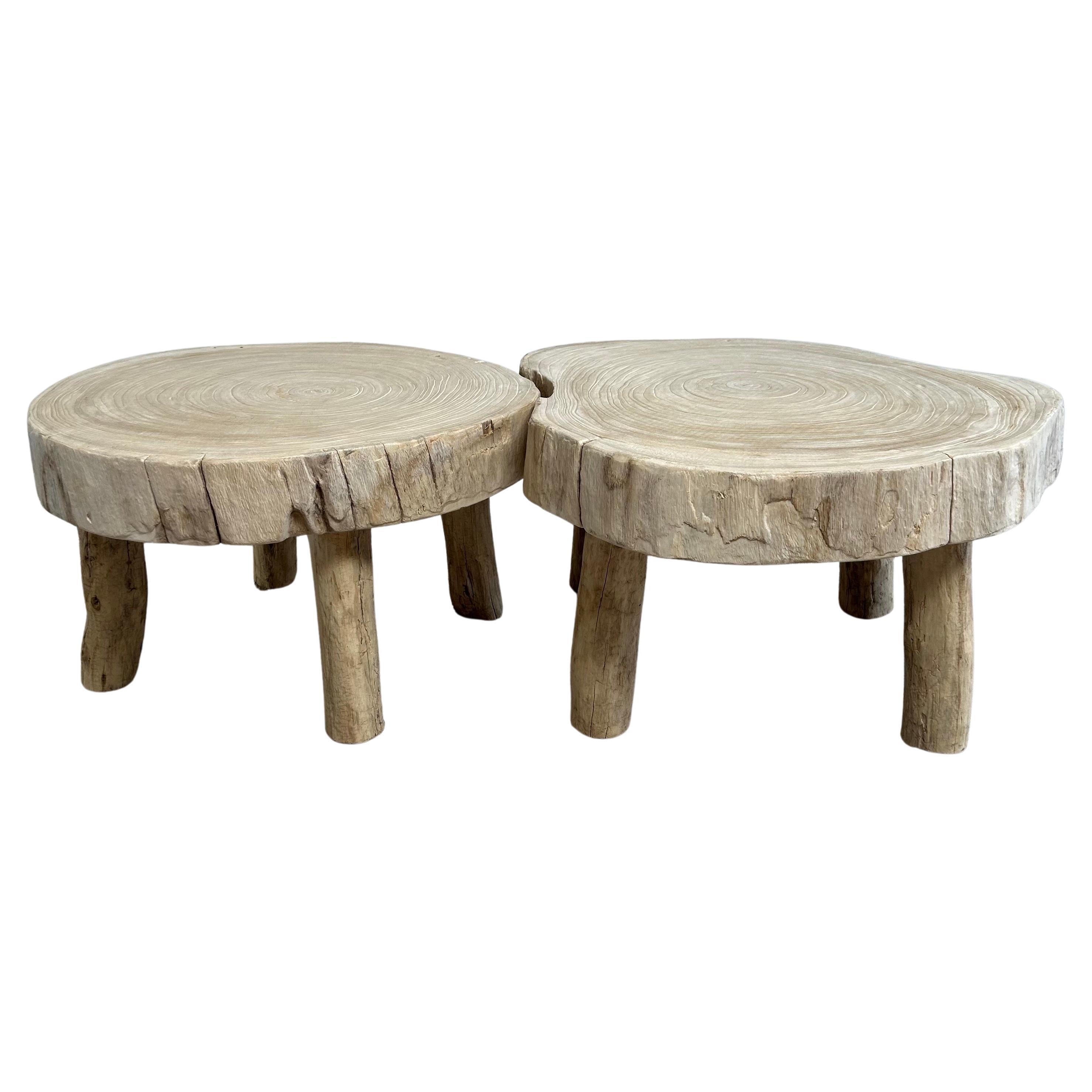 Cypress Wood Stump Slice Coffee Table Set For Sale