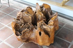 Cypress Wood Tree Trunk Coffee Table