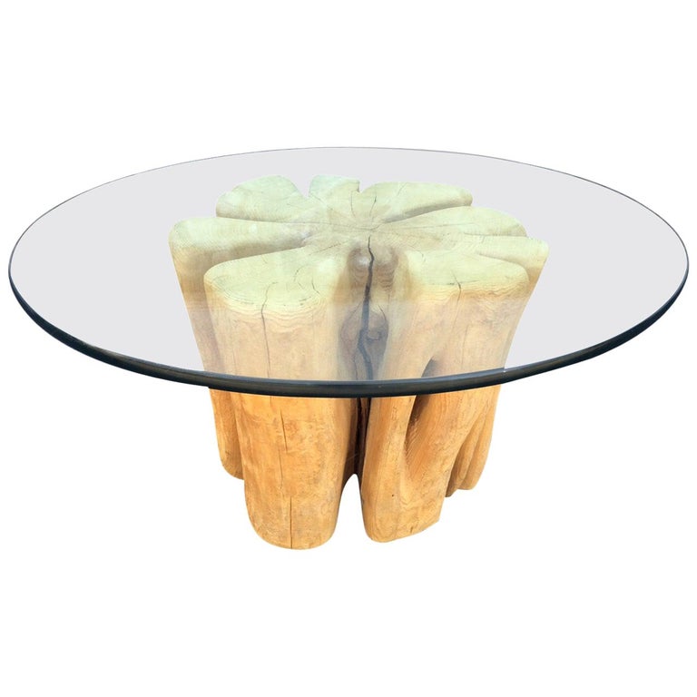 Cypress Wood Tree Trunk Coffee Table For Sale at 1stDibs