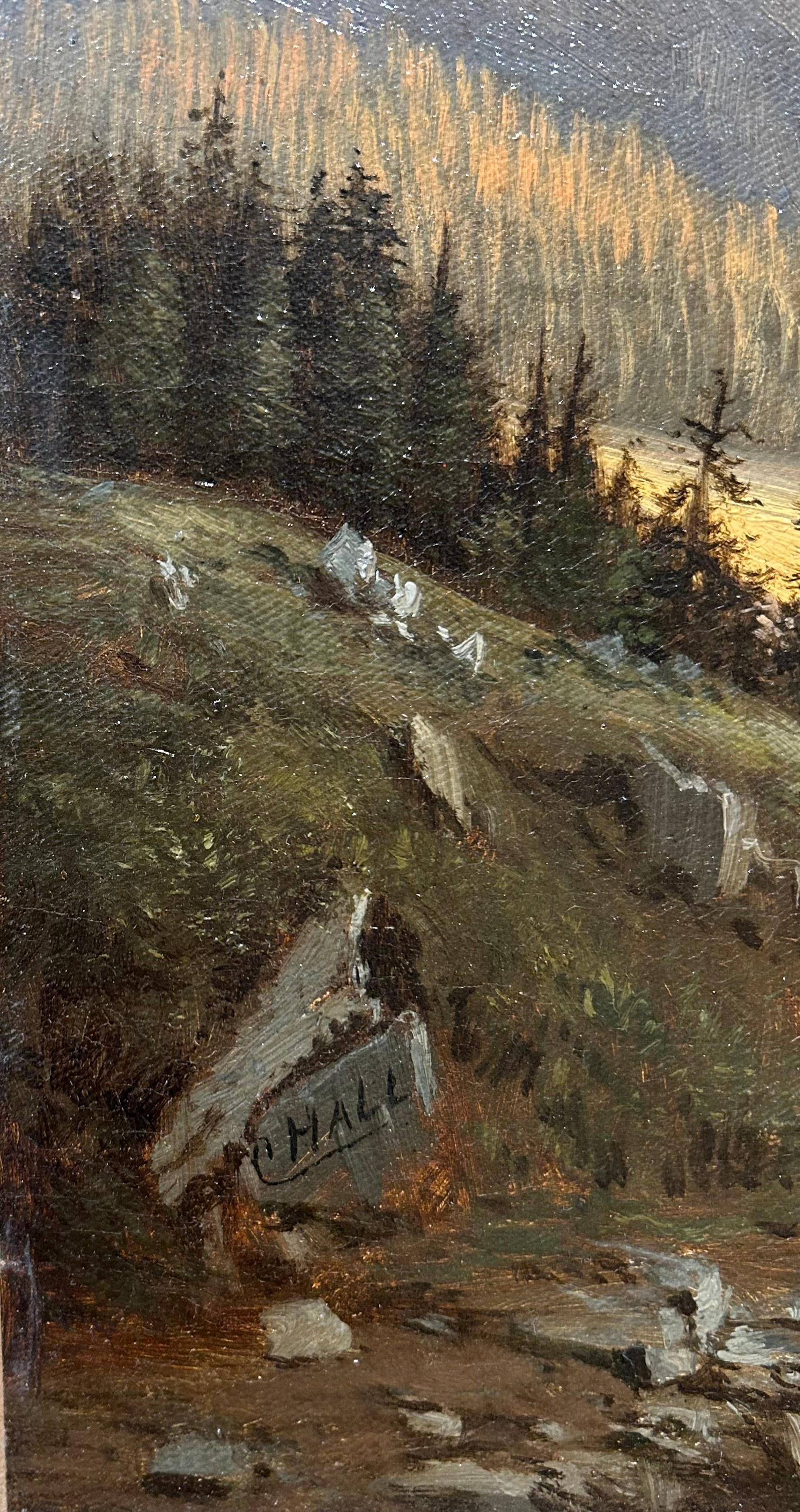 Cyrenius Hall was an artist who painted Western landscapes in a luminous style. He first went to Portland, Oregon in 1853 and 1854 over the Oregon Trail. From there he executed views of Mount Hood and Mount Rainier. Conventionally making his way