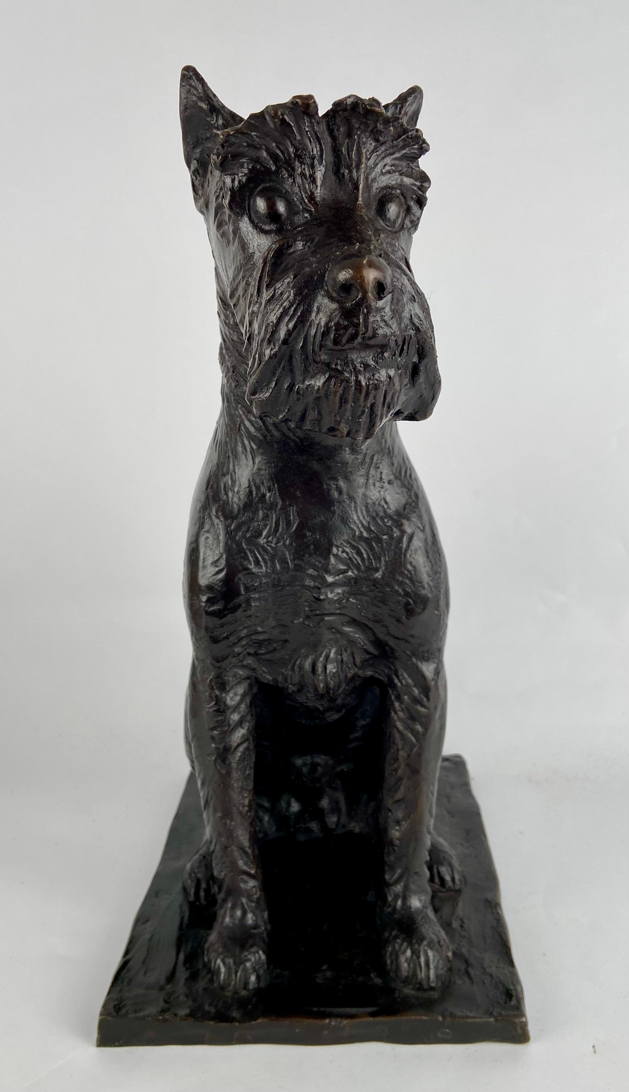 Fox terrier in black patinated bronze by the Belgium artist 
Cyriel de Brauwer ( 1914 Maldegem - 1989 Antwerp).
Signed: C. de Brauwer     E.A. (Epreuve d'Artiste).