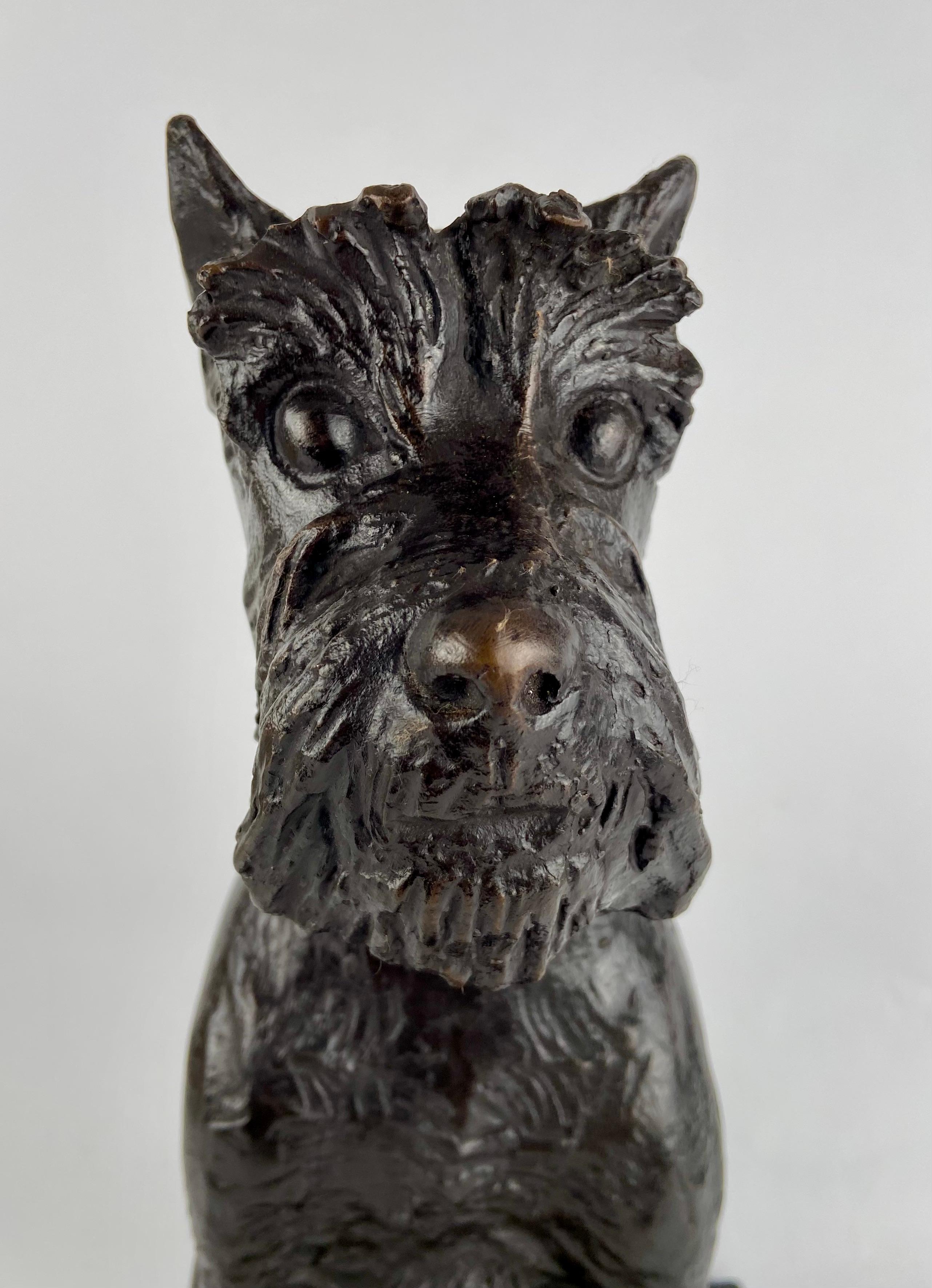 Belgian Cyriel de Brauwer, fox terrier in bronze