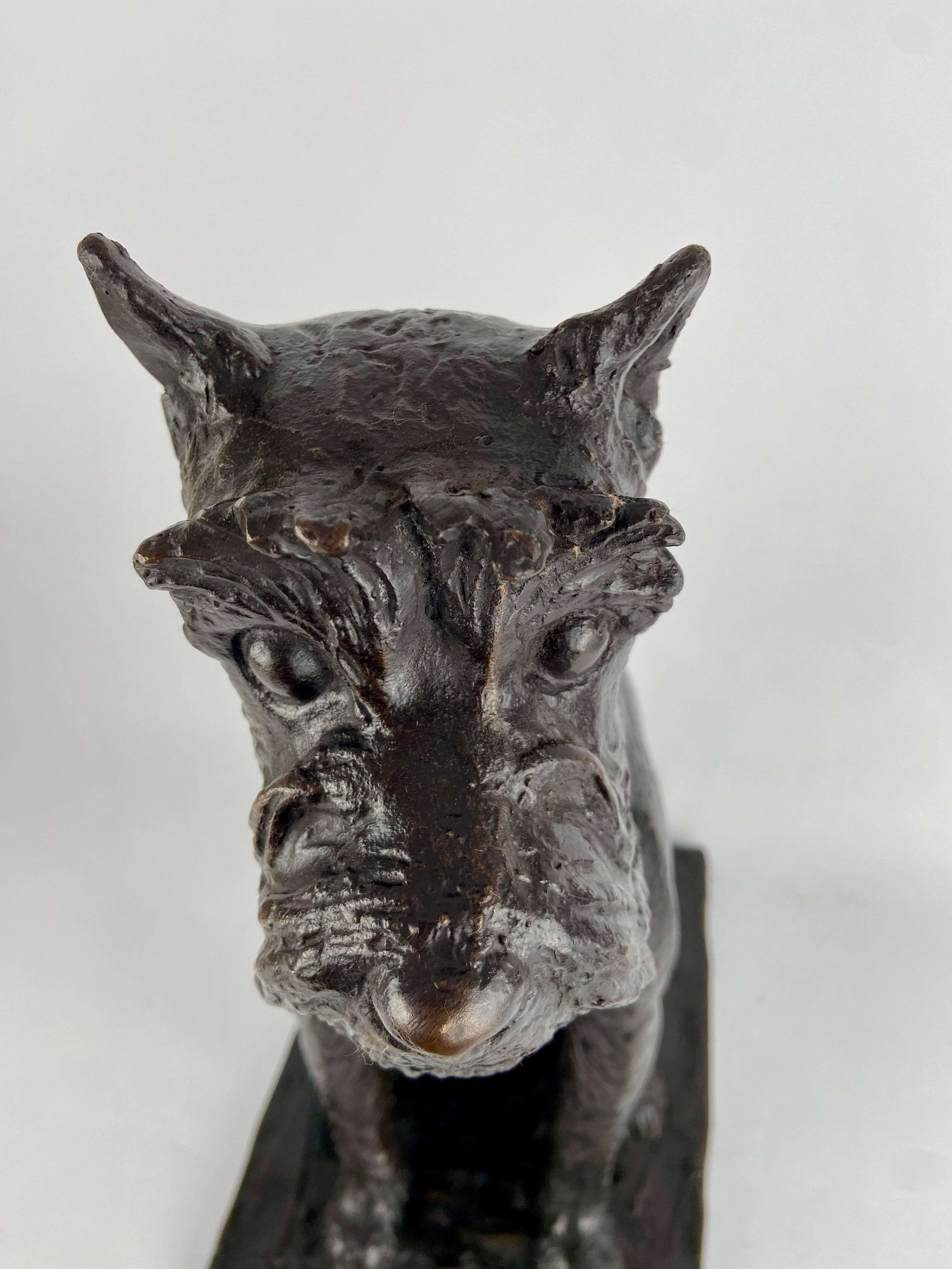 Hand-Crafted Cyriel de Brauwer, fox terrier in bronze