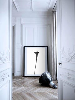 Original Photography by Cyrille Druart