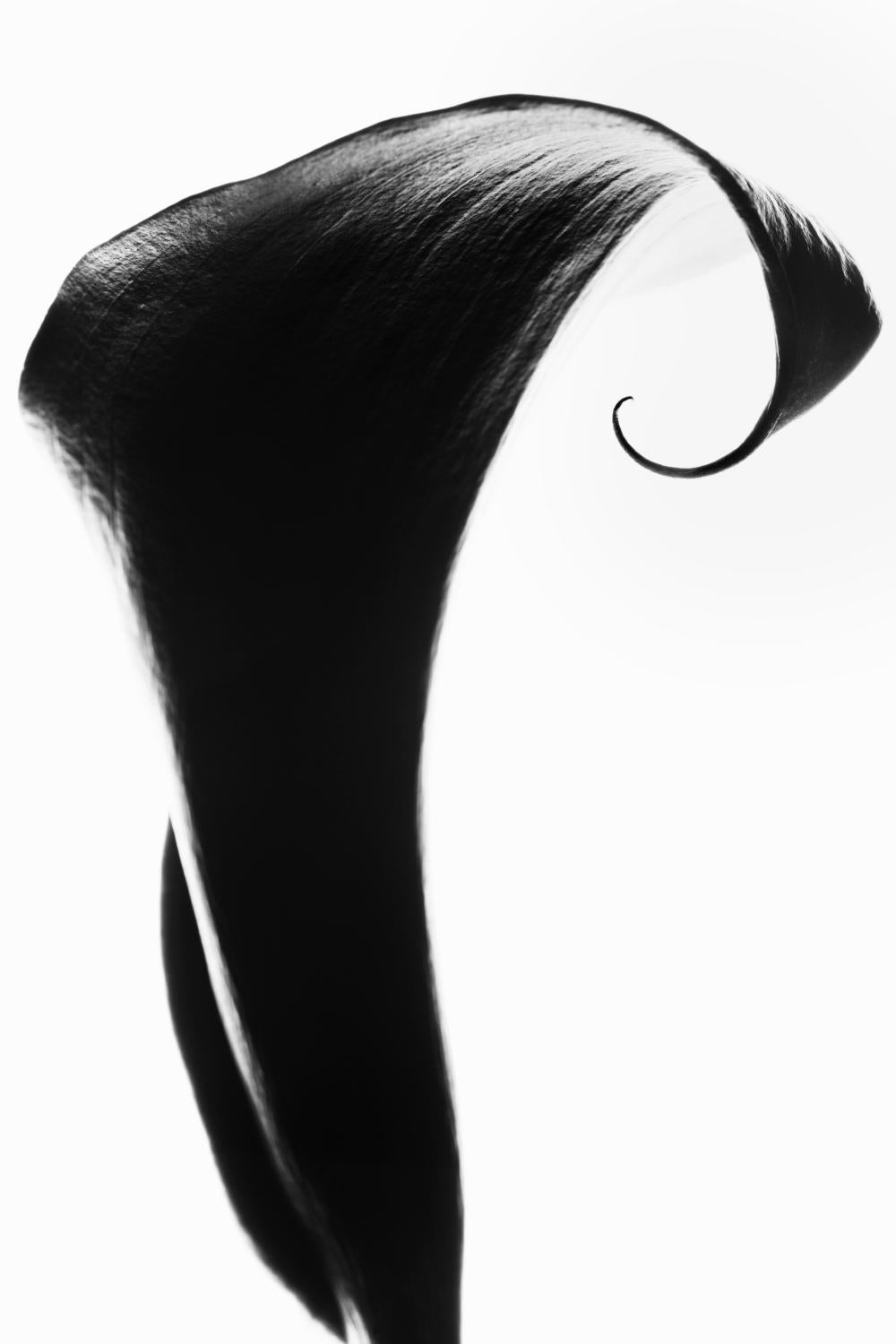 Photographie originale en noir et blanc de Cyrille Druart. 
Edition : I/V
C'est le dernier disponible.
Dimensions :  120 x 90 cm


Cyrille Druart est un photographe et architecte français. Un livre sur sa nouvelle série sera bientôt publié. Il est