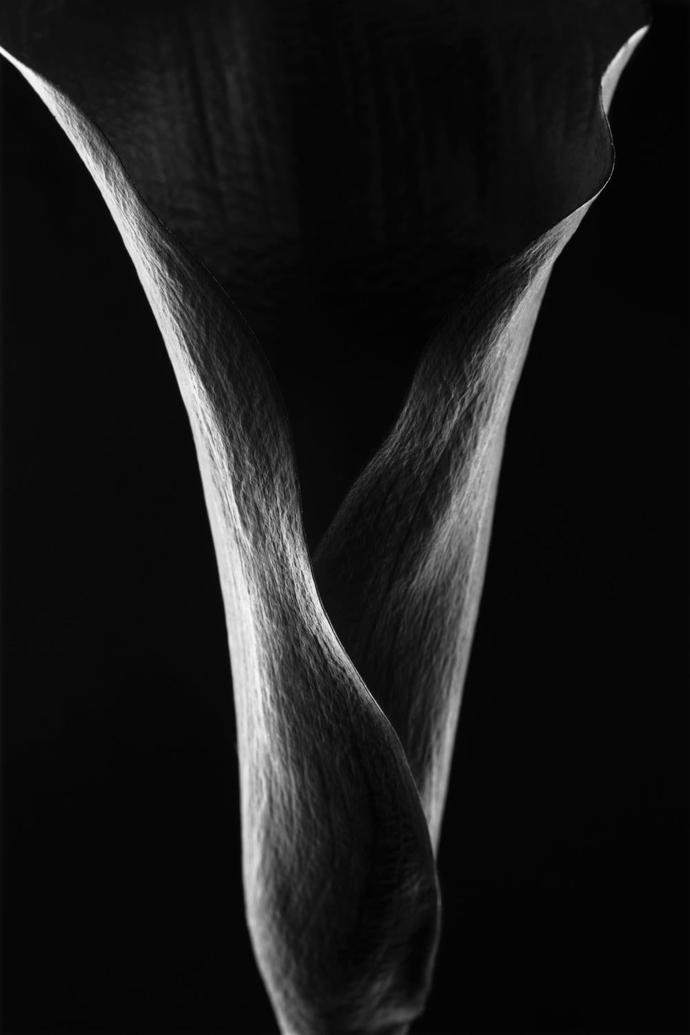 Fotografía original en blanco y negro de Cyrille Druart. 
Edición: I/V
Es el último disponible.
Dimensiones:  120 x 90 cm


Cyrille Druart es un fotógrafo y arquitecto francés, pronto se publicará un libro sobre su nueva serie. Cuenta con el apoyo