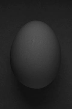 Photograph Triptych - "Naissance " - Cyrille Druart