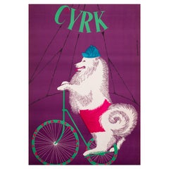 Vintage Cyrk Samoyed Dog Cycling 1965 Polish Circus Poster, Gustaw Majewski