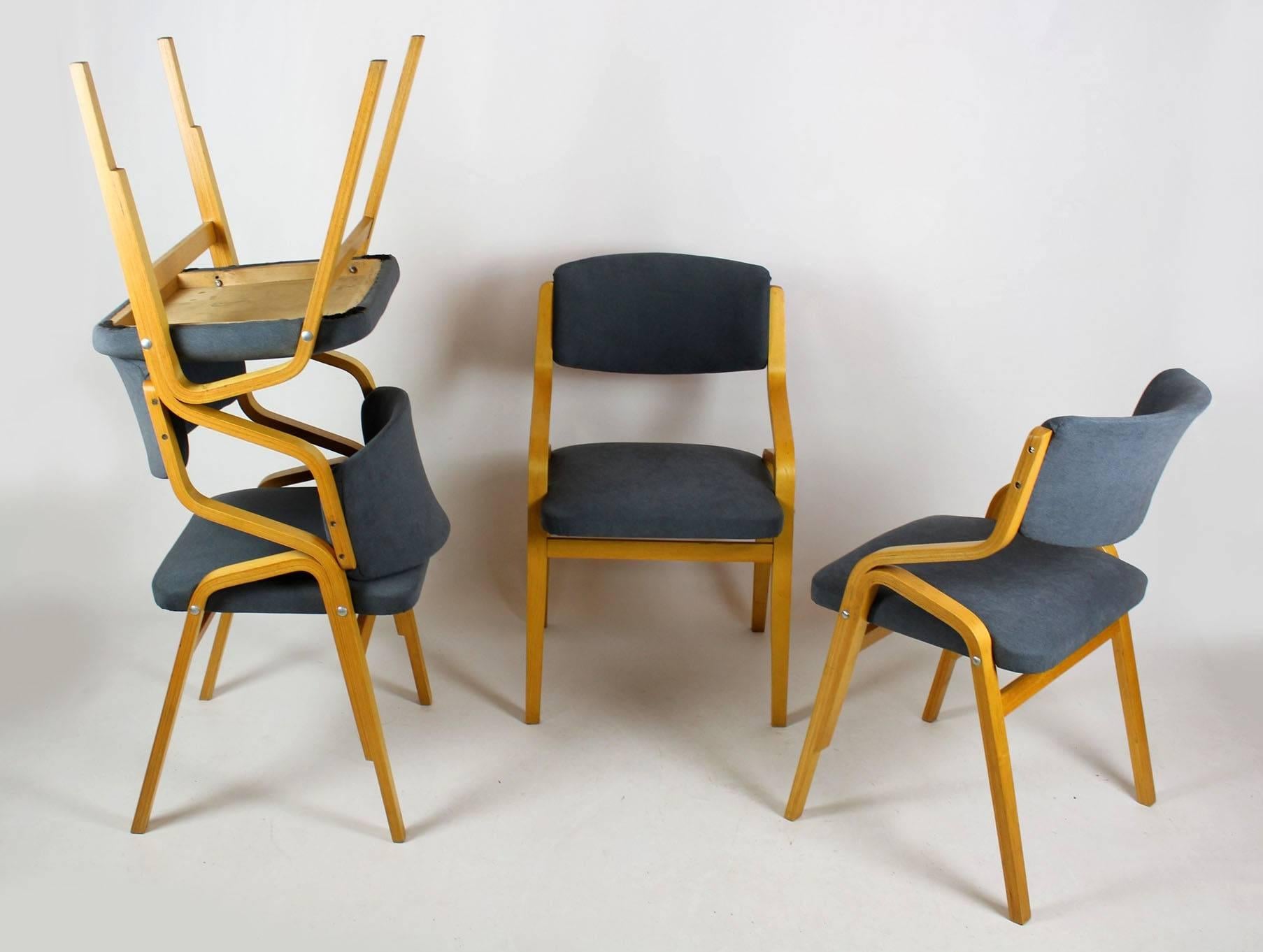 Czech Bent Plywood Chairs from Holesov, 1970s, Set of Four For Sale 5