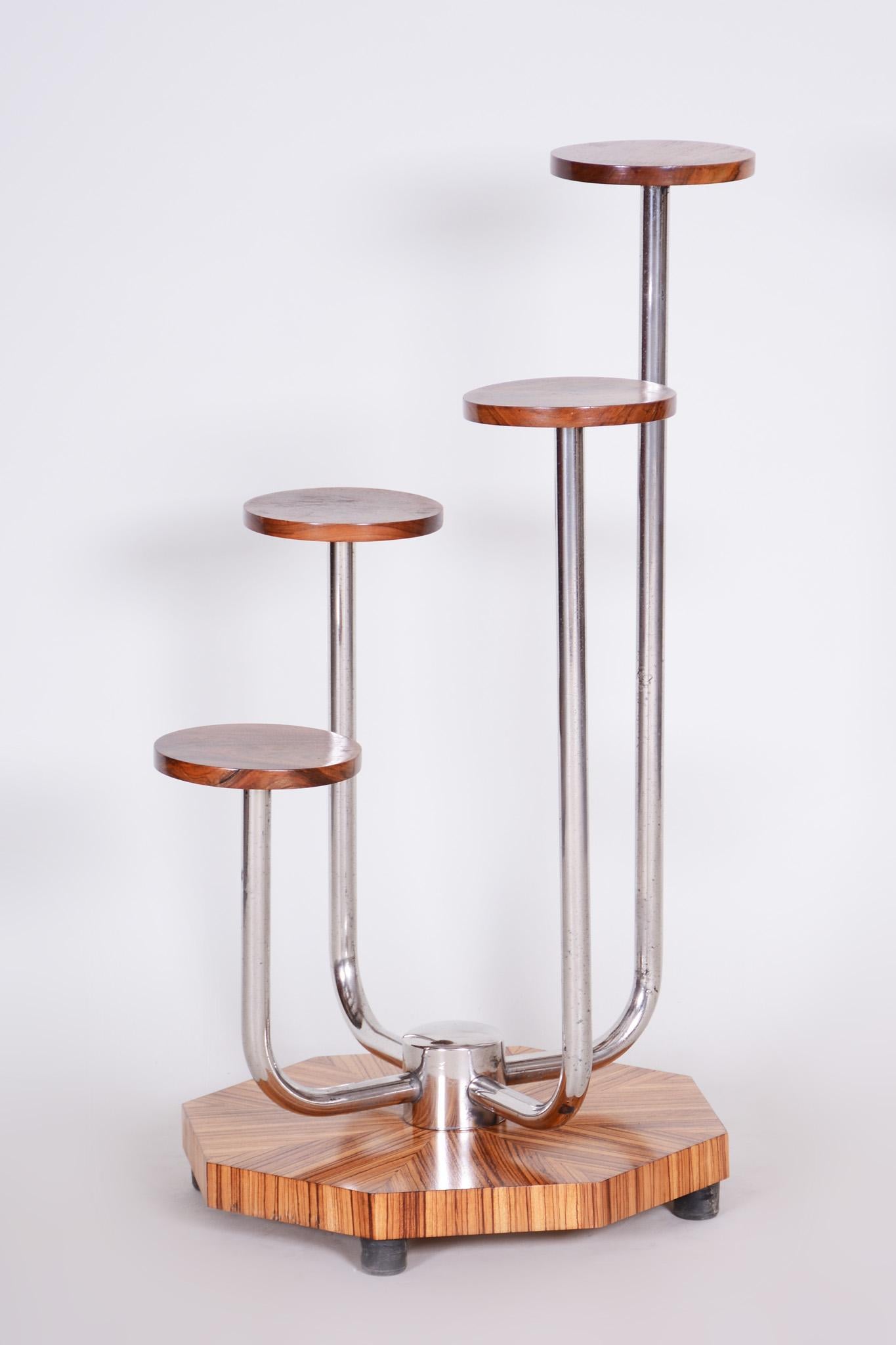 Czech Brown Bauhaus Chrome Flower Stand by Mücke, Melder, Zebrano Wood, 1930s In Good Condition For Sale In Horomerice, CZ