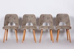 Czech Grey and Brown Ash Chairs by Oswald Haerdtl, 4 Pcs, New Upholstery, 1950s