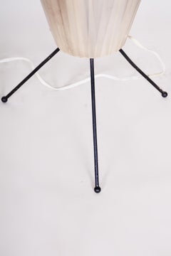 Czech Midcentury Metal Floor Lamp, 1950s, New Electrification, Original Patina