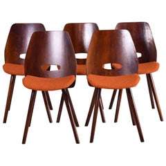 Czech Midcentury Chairs, Five Pieces, Tatra Nábytok, Architect František Jirák