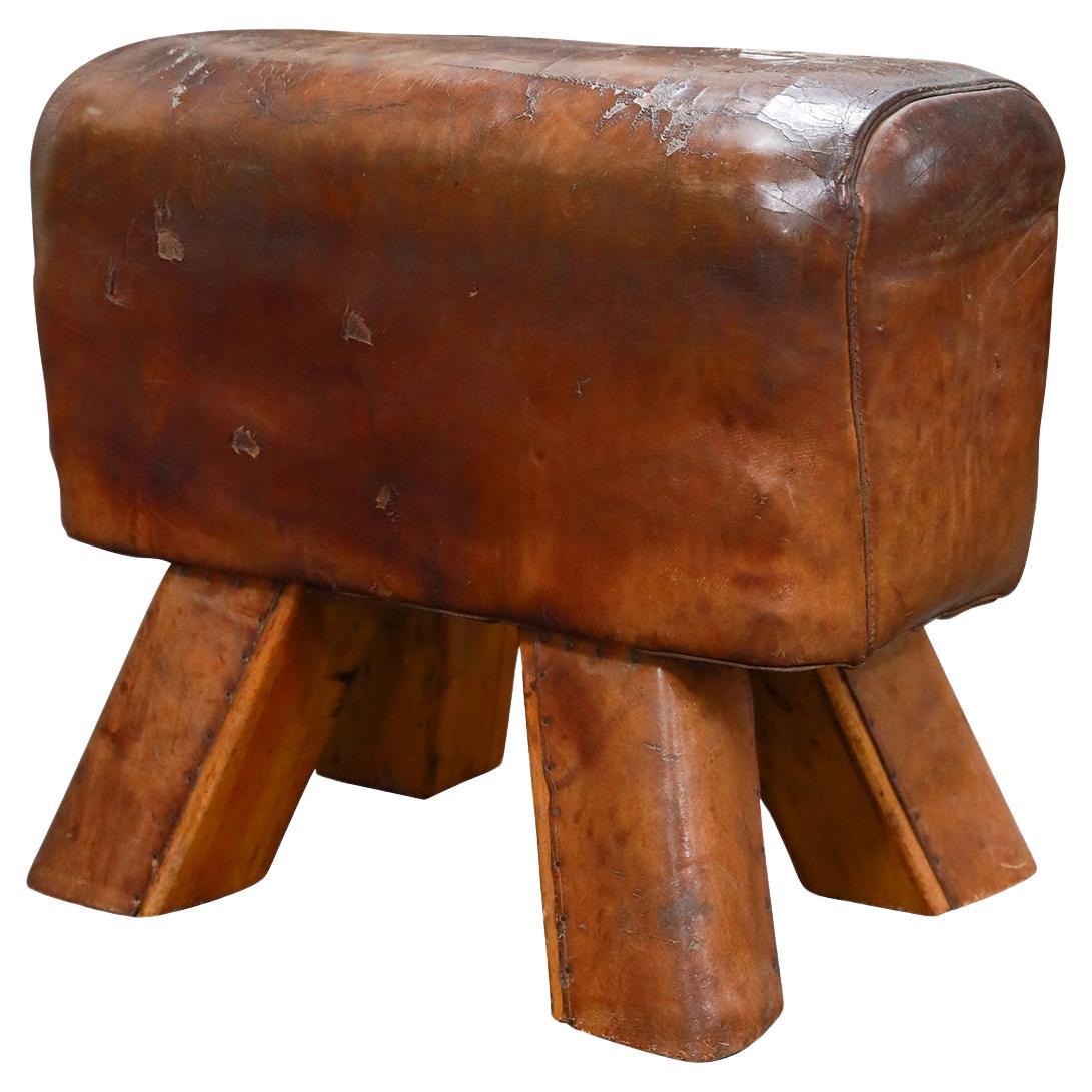 Czech Republic Leather & Wood Vaulting Horse Seat