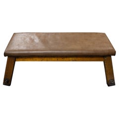 Czech Republic Vaulting Horse Bench