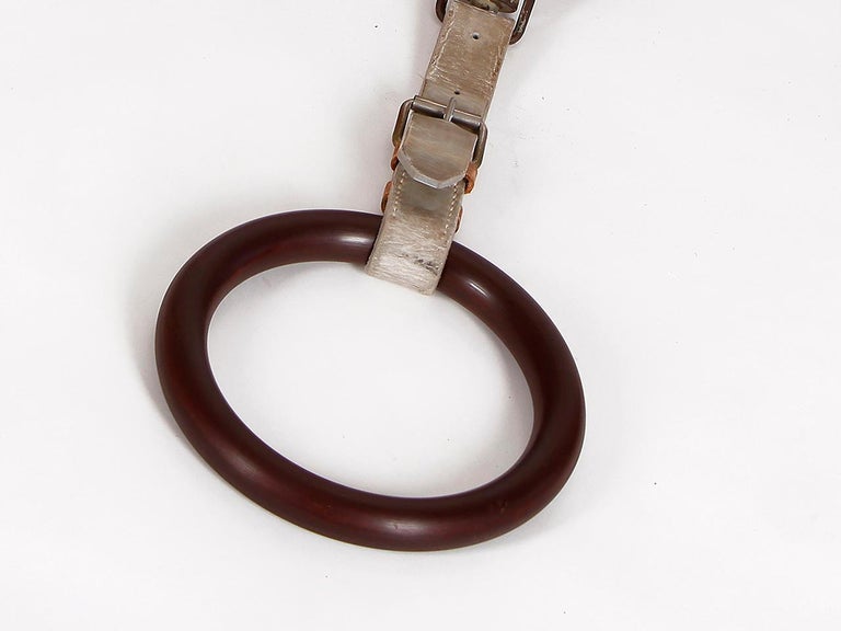 Czech Vintage Gymnastic Gym Ring Training Workout, 1940s at 1stDibs