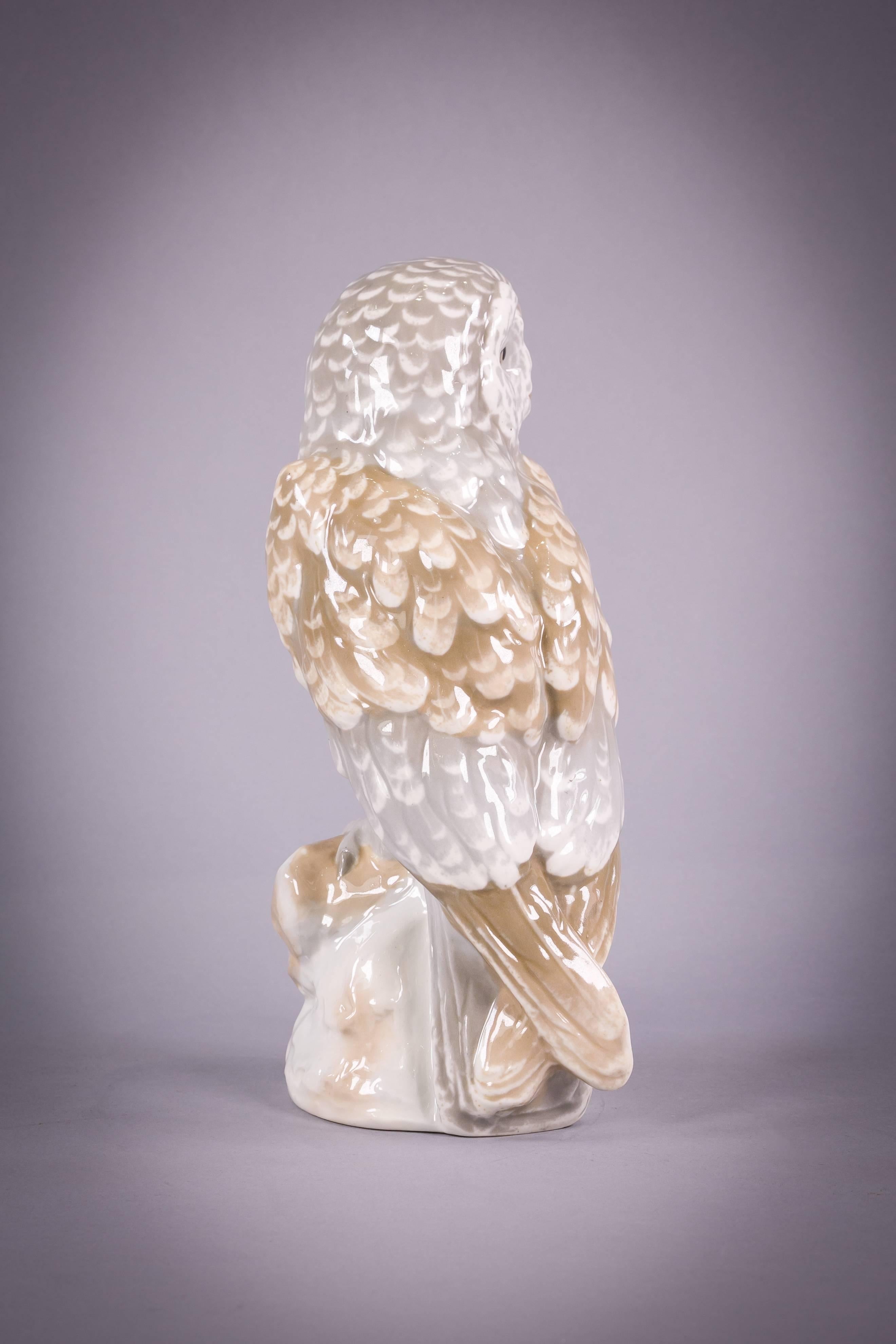 amphora owl