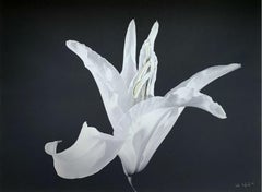 Un lys. Photo sur papier mat, Nature morte, Floral, Noir et blanc, Artiste polonais