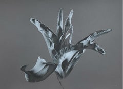 Vintage A lily. Photo on matte paper, Still life, Floral, Blue and grey, Polish artist