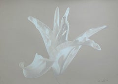 A lily. Photo on matte paper, Still life, Floral, Blue and grey, Polish artist
