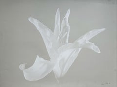 Vintage A lily. Photo on matte paper, Still life, Floral, Monochromatic, Polish artist