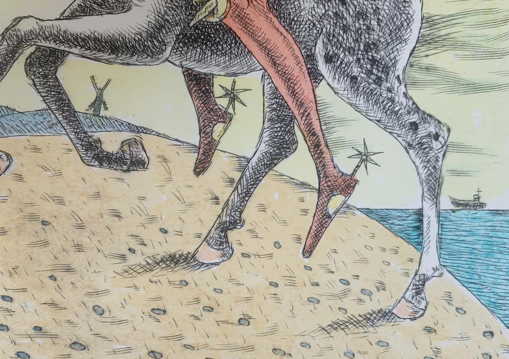 Don Kichote all'attacco. Stampa acquaforte a punta secca figurativa, colorata, arte polacca - Print Contemporaneo di Czeslaw Tumielewicz