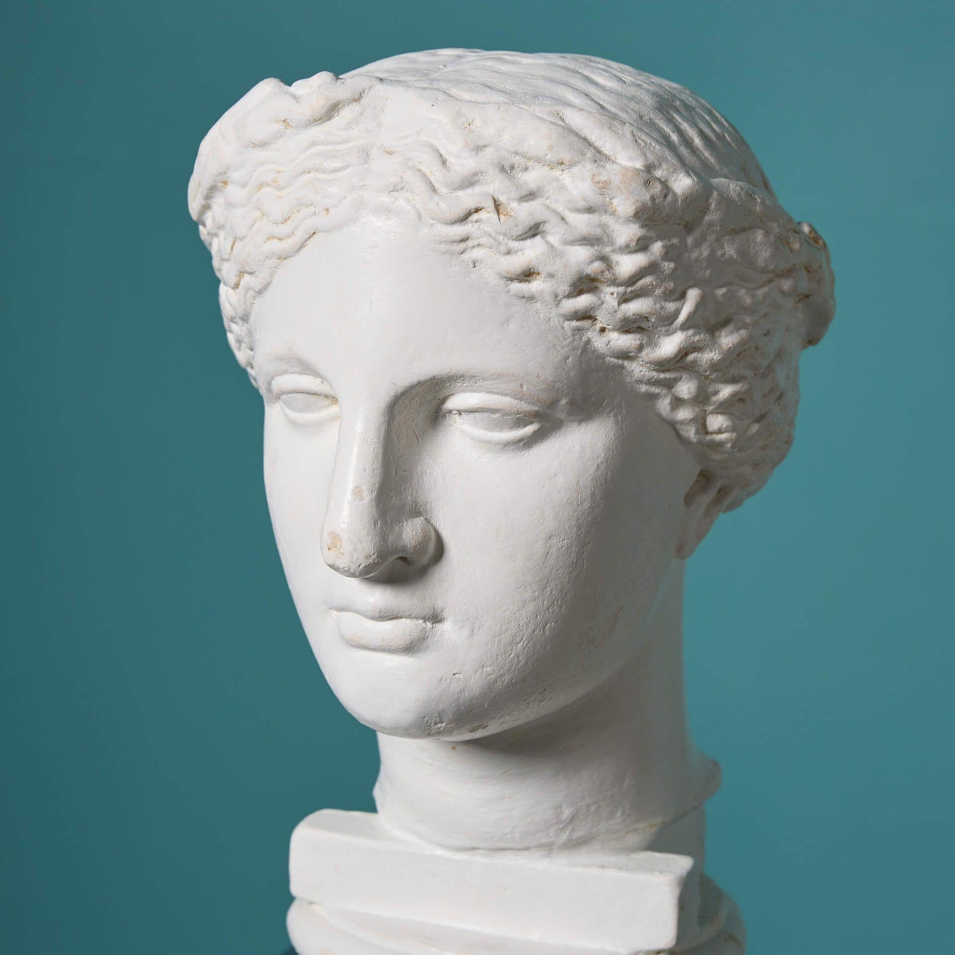 D. Brucciani (1815 - 1880) Antike Gipsbüste der Venus (Neoklassisch) im Angebot