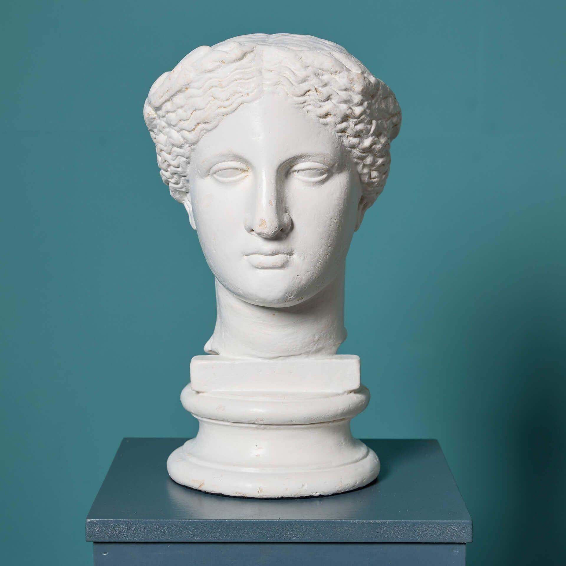 D. Brucciani (1815 - 1880) Antike Gipsbüste der Venus (Englisch) im Angebot